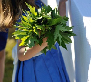 bouquet de feuilles