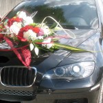 fleur sur voiture