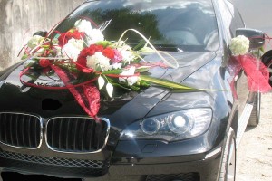 fleur sur voiture