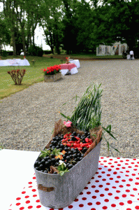 Corbeille de fruits