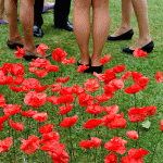 Vin d'honneur dans les coquelicots