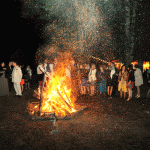 Un grand feu dans le parc pour la soirée