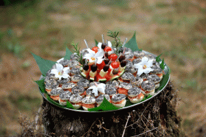 Assortiment de bouchées apéritives